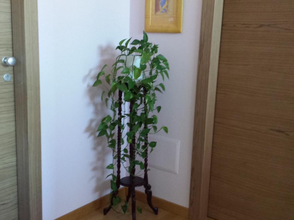 Garden B&B アレッツォ エクステリア 写真